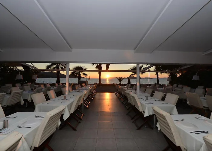 酒店 黛尔塔酒店 3*